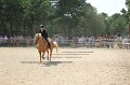 IMG_6641