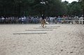 IMG_6643