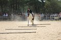IMG_6726