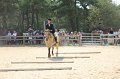 IMG_6736