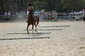 IMG_6748