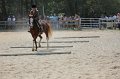 IMG_6749