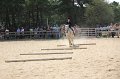 IMG_6754