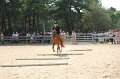 IMG_6768
