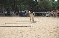 IMG_6787