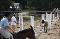 IMG_6803