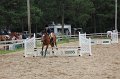 IMG_6811