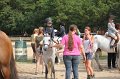 IMG_6850