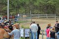 IMG_0202_edited-1