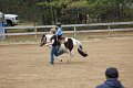 IMG_0222_edited-1