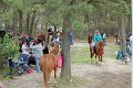 IMG_0229_edited-1