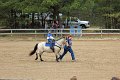IMG_0239_edited-1