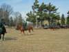 img_0834_edited1_small.jpg