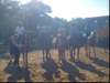 jackbenney101208171_edited1_small.jpg