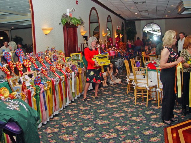 ihaawardsdinner011_edited1.jpg