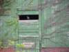 soli30thanniversary167_small.jpg