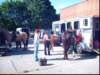 memorialdayparadeislip004_small.jpg