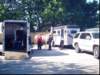memorialdayparadeislip005_small.jpg