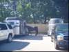 memorialdayparadeislip007_small.jpg