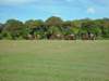 lirha038_edited1_small.jpg