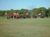 lirha039_edited1_small.jpg