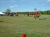 lirha041_edited1_small.jpg