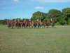 lirha049_edited1_small.jpg
