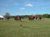 lirha052_edited1_small.jpg