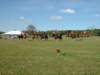 lirha054_edited1_small.jpg