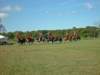 lirha064_edited1_small.jpg