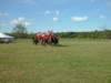 lirha073_edited1_small.jpg