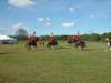 lirha074_edited1_small.jpg