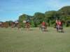 lirha075_edited1_small.jpg