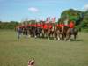 lirha077_edited1_small.jpg