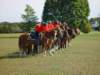 lirha085_edited1_small.jpg