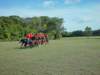 lirha088_edited1_small.jpg