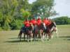 lirha095_edited1_small.jpg