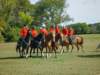 lirha097_edited1_small.jpg