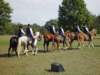 lirha169_edited1_small.jpg