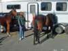 lynbrook010_edited1_small.jpg