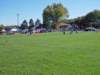 lynbrook021_edited1_small.jpg