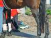 lynbrook025_edited1_small.jpg