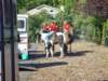 lynbrook027_edited1_small.jpg