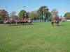 lynbrook037_edited1_small.jpg