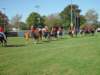 lynbrook040_edited1_small.jpg