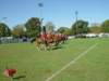 lynbrook041_edited1_small.jpg