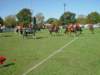 lynbrook043_edited1_small.jpg