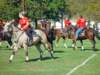 lynbrook044_edited1_small.jpg
