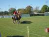 lynbrook047_edited1_small.jpg