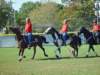 lynbrook048_edited1_small.jpg